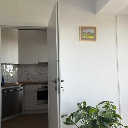 Monte Carlo Panoramic *